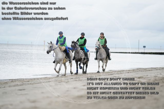s_K3F04732.JPG